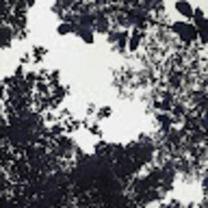 Meet your Posher, Allteair